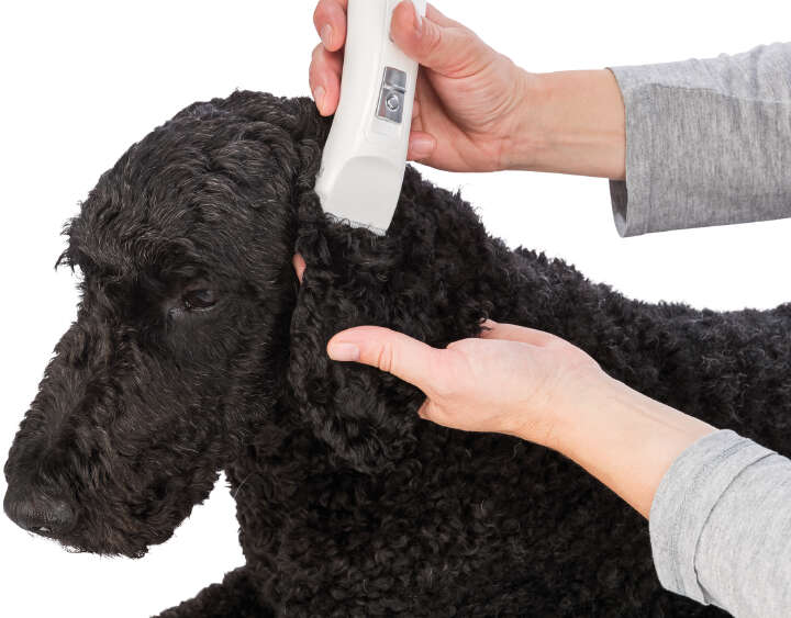 TRIXIE Schermaschinen-Set Akku TR1150, 6 W